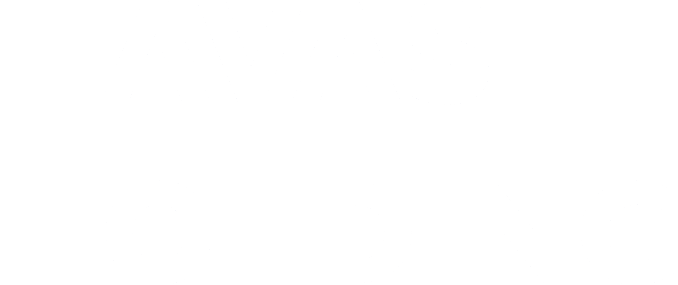 Havas Holding